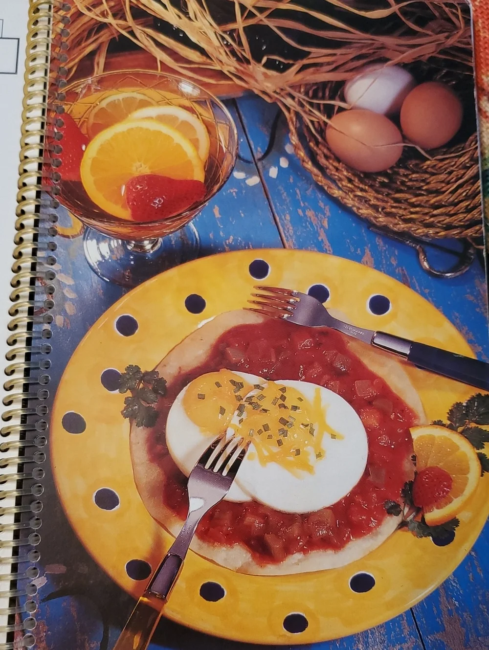 Vintage The Fire‎ N Ice Cookbook